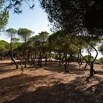 Monte Da Bela Vista 'paradise' By Sapvillas