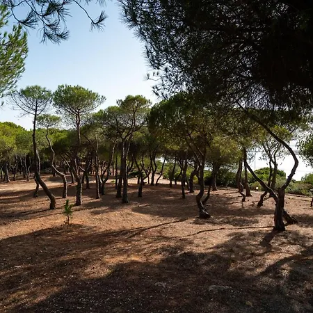 Monte Da Bela Vista 'paradise' By Sapvillas