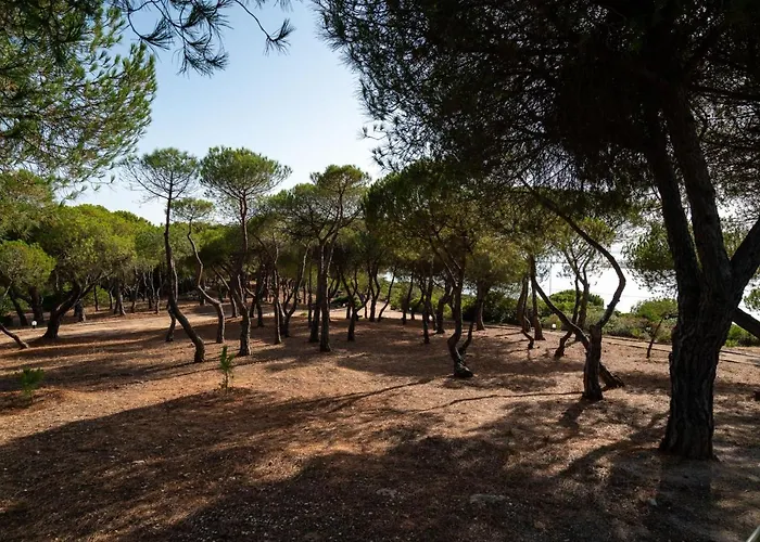 Monte Da Bela Vista 'paradise' By Sapvillas